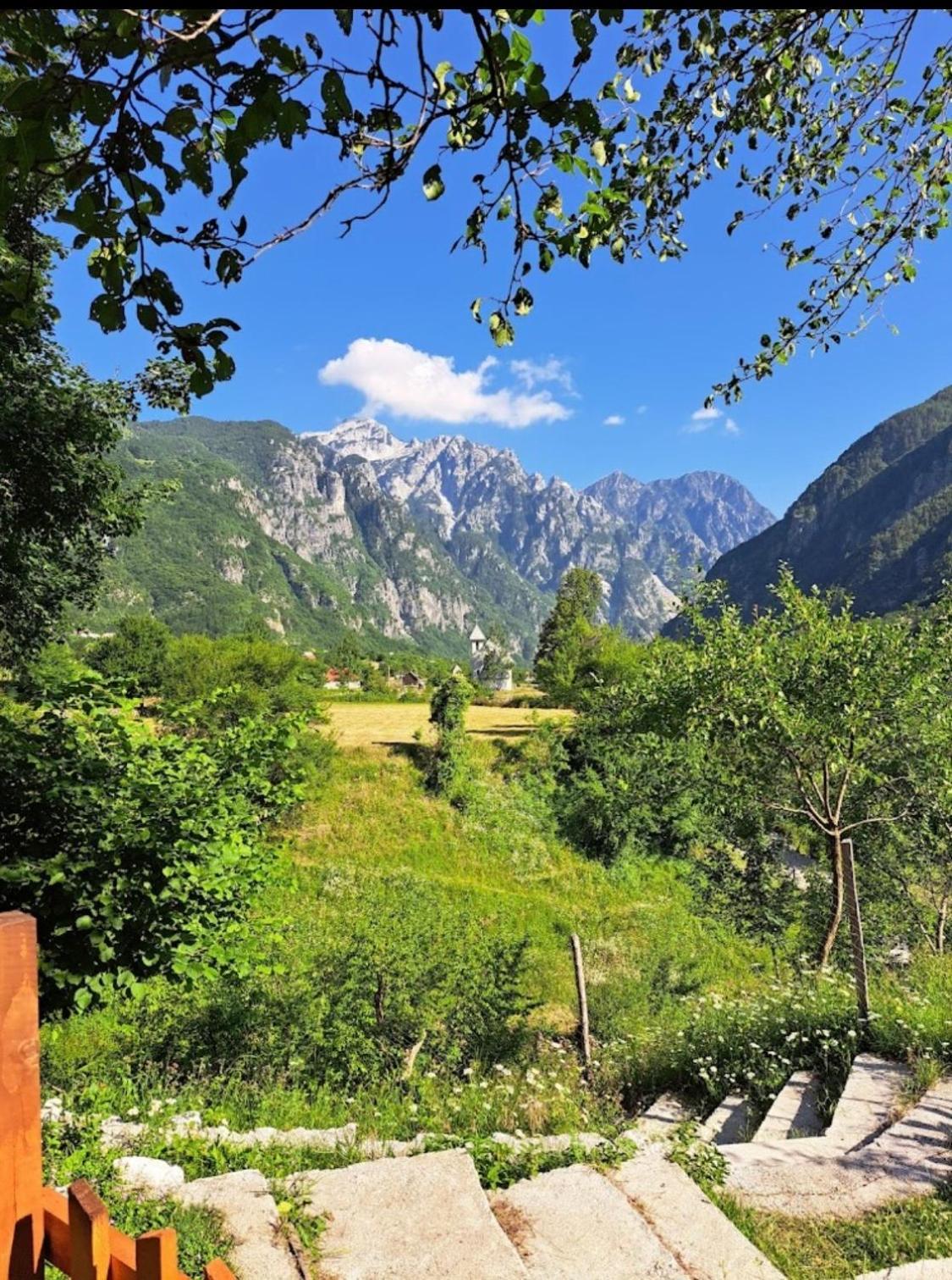 Bed and Breakfast Bujtina Pllumi Тети Экстерьер фото