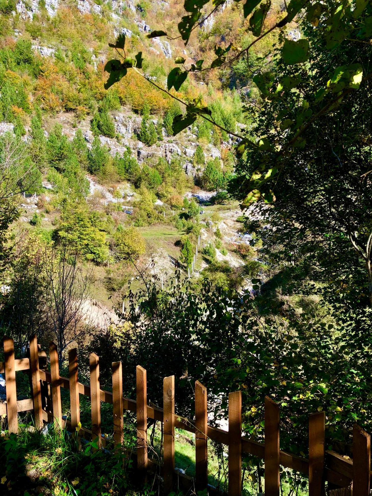 Bed and Breakfast Bujtina Pllumi Тети Экстерьер фото