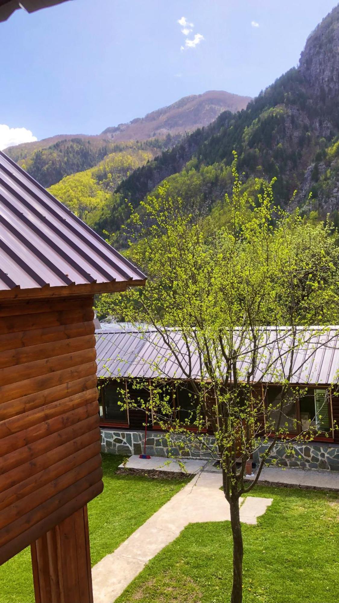 Bed and Breakfast Bujtina Pllumi Тети Экстерьер фото